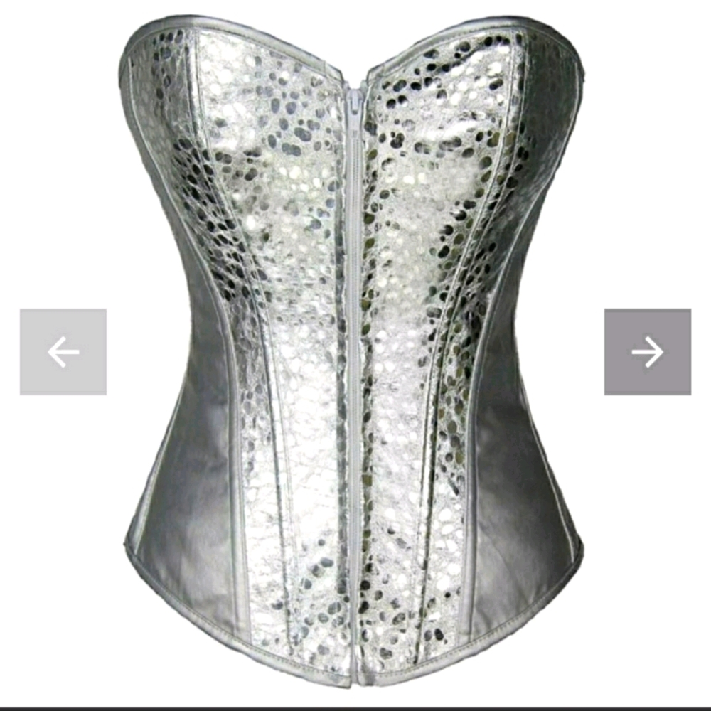 Silver sparkle corset